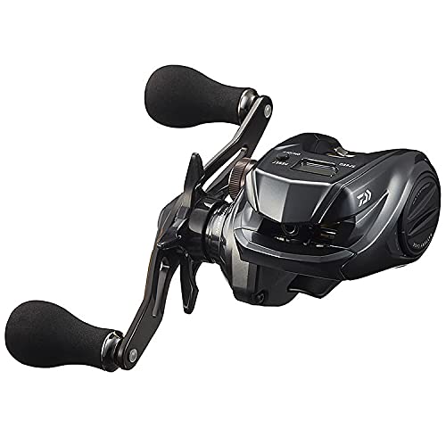Daiwa 20 Tierra IC 100H Right Handed Fishing Baitcasting Reel Aluminum Black NEW