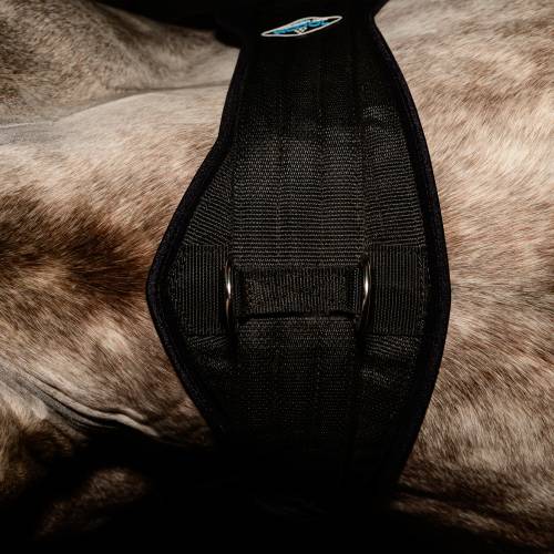 Professional's Choice 2XCOOL Cinch