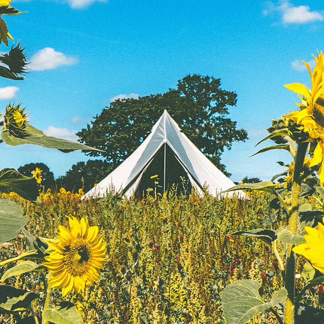 boutique camping CLASSIC CAMPING BELL TENT TIPI GLAMPING CANVAS