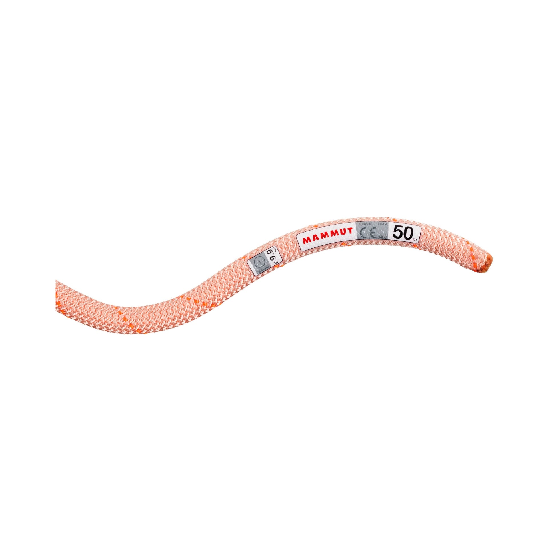 Mammut 9.9 Gym Workhorse Classic Rope - Ascent Outdoors LLC