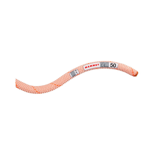 Mammut 9.9 Gym Workhorse Classic Rope - Ascent Outdoors LLC