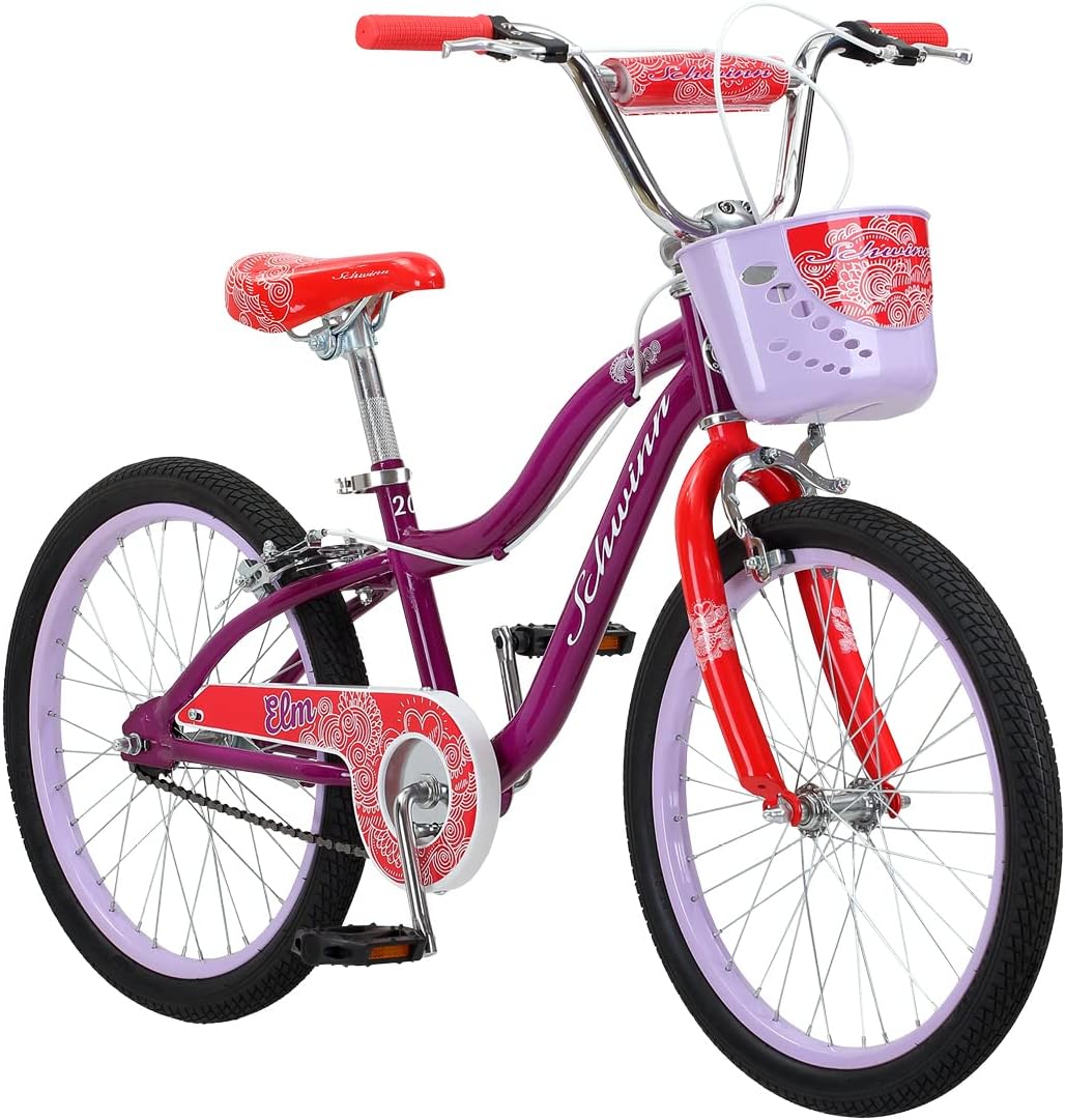 Schwinn Koen & Elm Big Kid Bike - $135