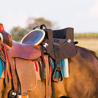 Mustang Black Ride With Me Seat