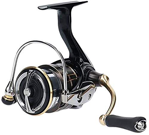 DAIWA BALLISTIC LT2500SS-CXH Spinning Reel (2019 Model) Nylon NEW from Japan