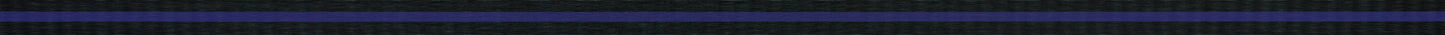 Country Brook Design® 1 Inch Thin Blue Line Polyester Webbing, 20 Yards